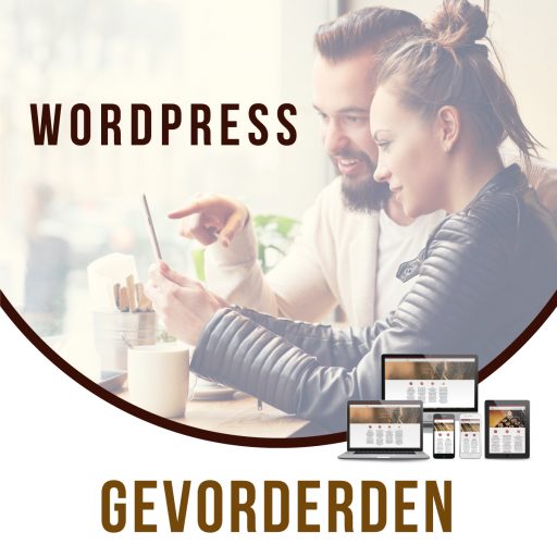 Wordpress voor gevorderden in Apeldoorn